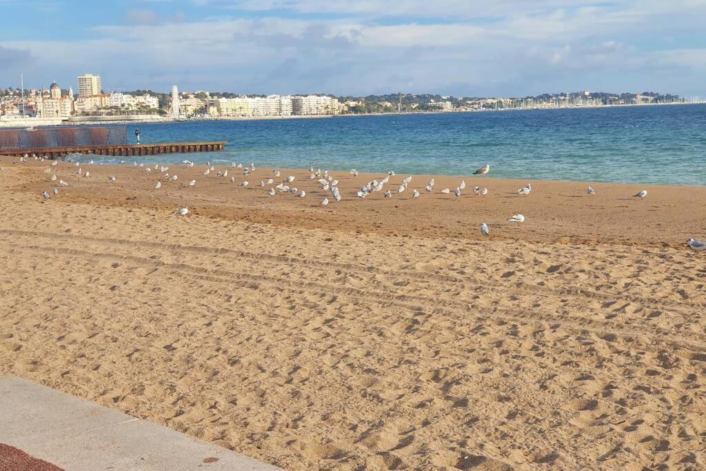 T2 Climatise A 5 Minutes A Pied De La Plage Avec Parking, Piscine Et Wifi Fréjus Kültér fotó
